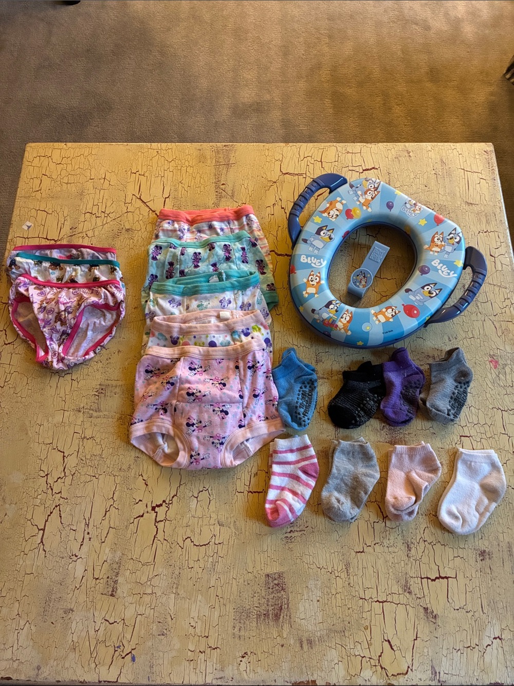 Bluey Potty Training Seat with Disney & Paw Patrol Underwear & Socks